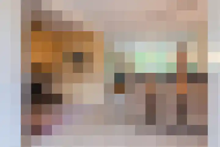 Lothariusstraat 31 Wijk bij Duurstede thumbnail 12