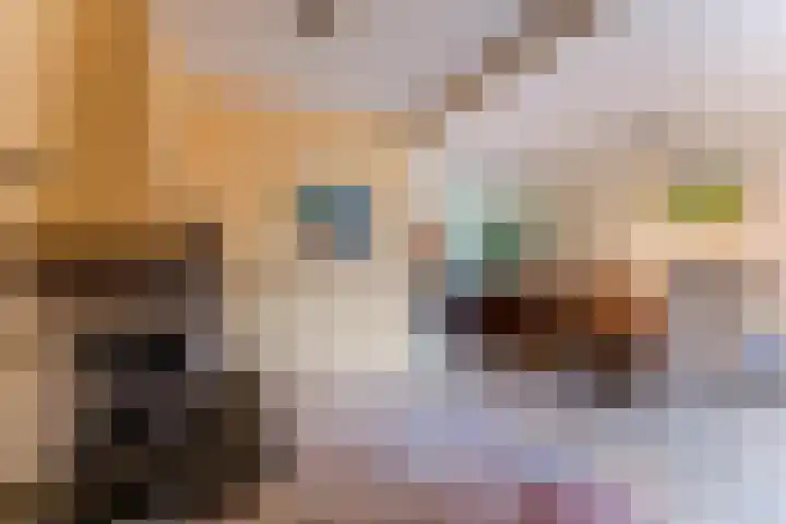 Lothariusstraat 31 Wijk bij Duurstede thumbnail 15