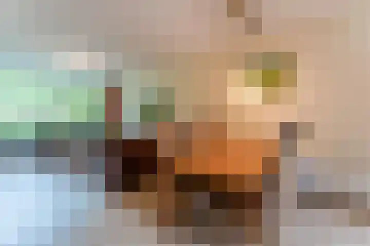 Lothariusstraat 31 Wijk bij Duurstede thumbnail 17