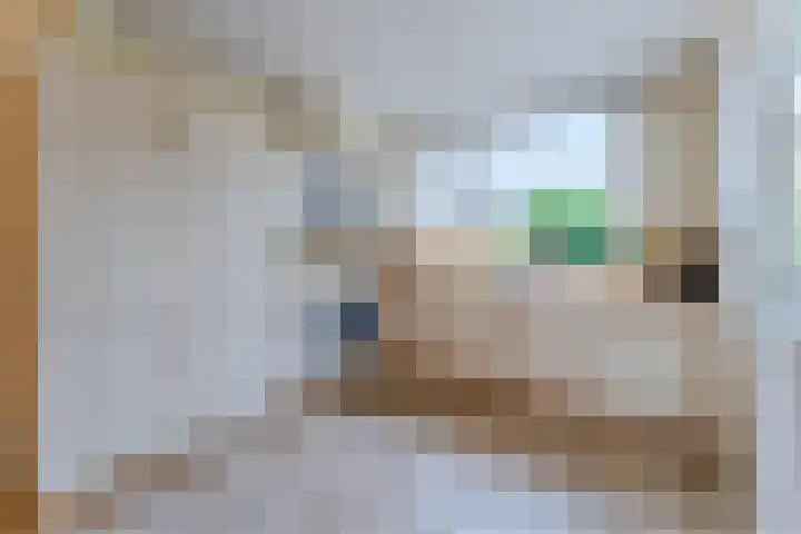 Lothariusstraat 31 Wijk bij Duurstede thumbnail 19