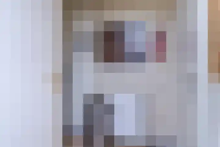 Lothariusstraat 31 Wijk bij Duurstede thumbnail 21