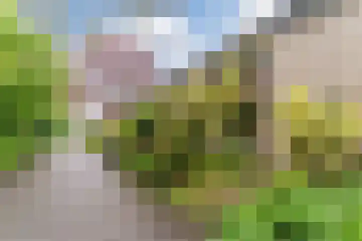 Lothariusstraat 31 Wijk bij Duurstede thumbnail 4
