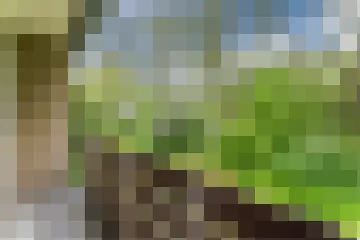 Lothariusstraat 31 Wijk bij Duurstede thumbnail 42