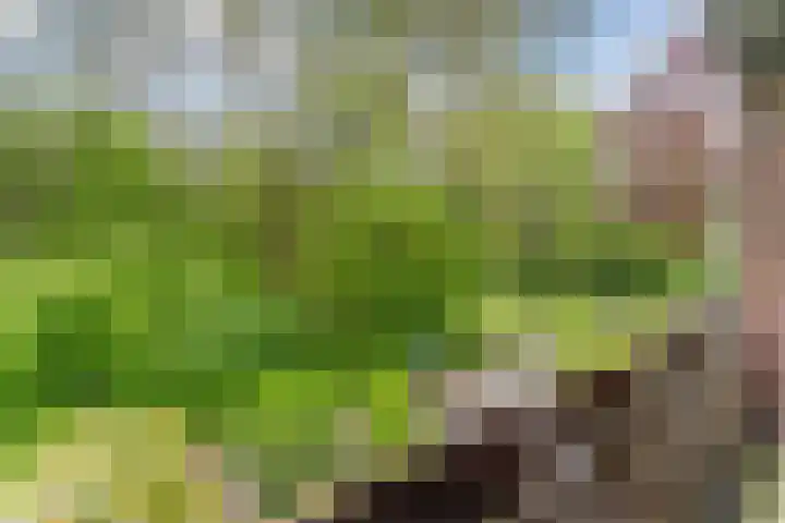 Lothariusstraat 31 Wijk bij Duurstede thumbnail 43