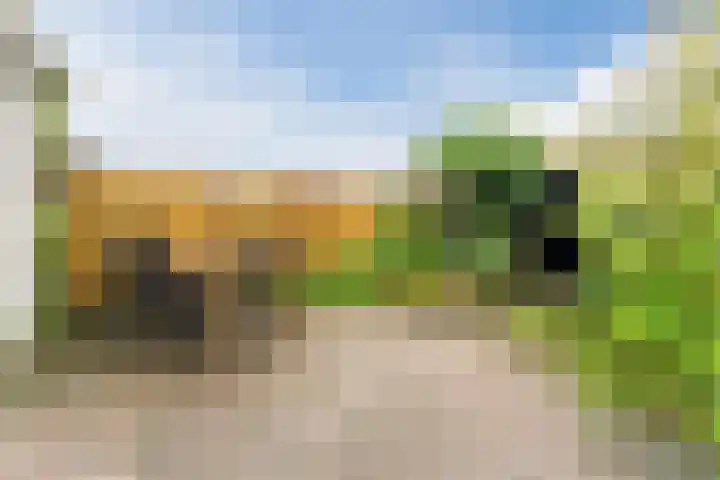 Lothariusstraat 31 Wijk bij Duurstede thumbnail 44
