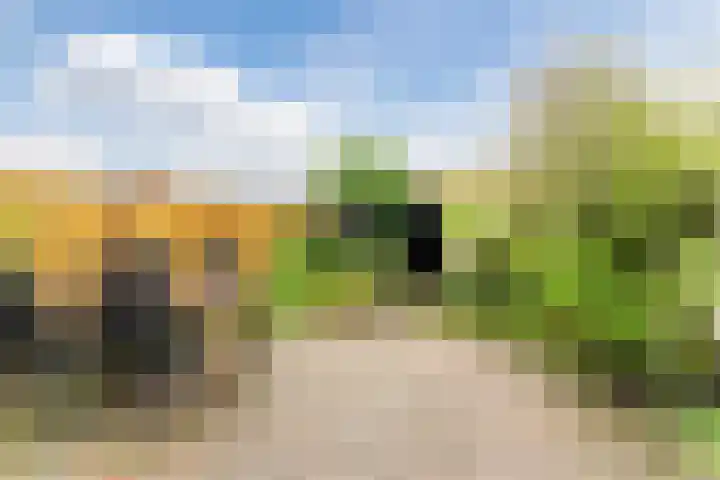 Lothariusstraat 31 Wijk bij Duurstede thumbnail 45