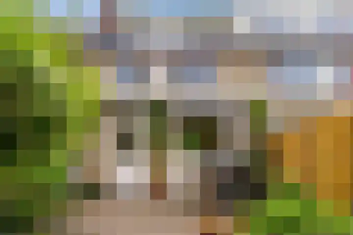 Lothariusstraat 31 Wijk bij Duurstede thumbnail 46