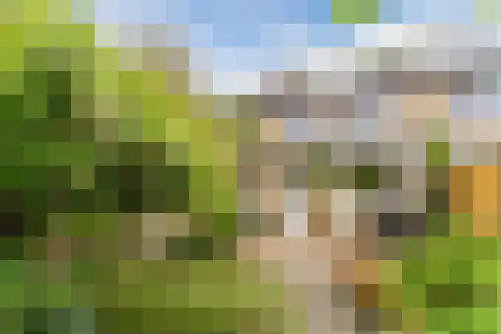 Lothariusstraat 31 Wijk bij Duurstede thumbnail 47