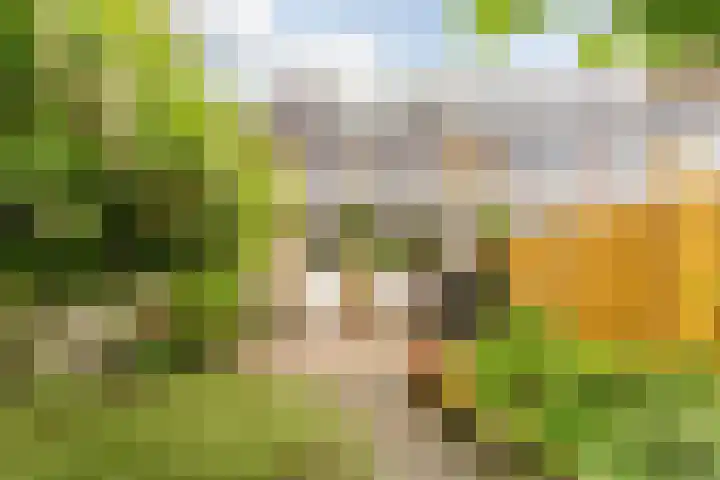 Lothariusstraat 31 Wijk bij Duurstede thumbnail 48