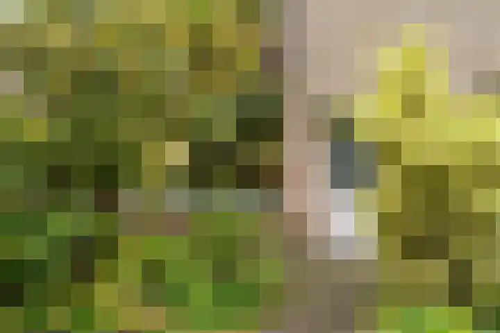 Lothariusstraat 31 Wijk bij Duurstede thumbnail 5