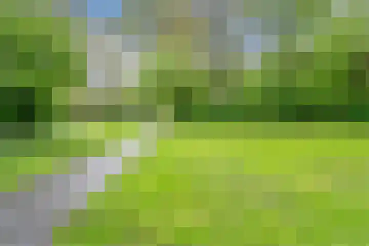 Lothariusstraat 31 Wijk bij Duurstede thumbnail 53