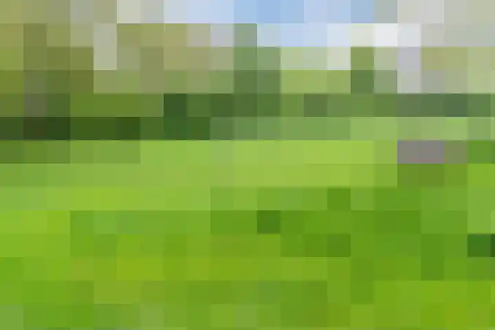 Lothariusstraat 31 Wijk bij Duurstede thumbnail 54