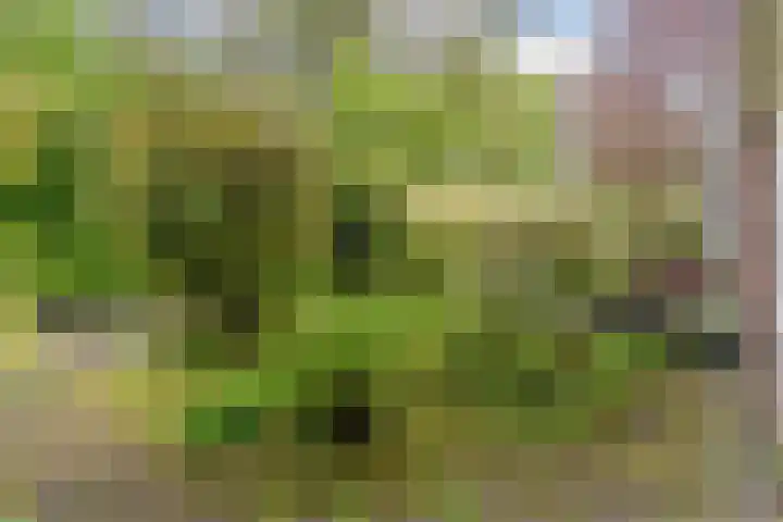 Lothariusstraat 31 Wijk bij Duurstede thumbnail 6