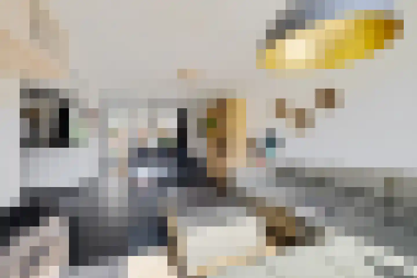 Lothariusstraat 33 Creil thumbnail 18