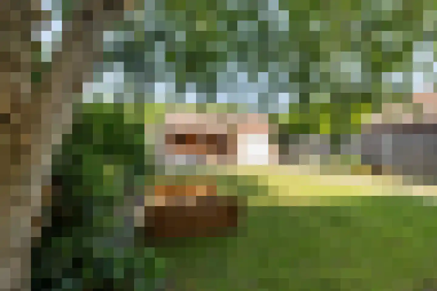 Lothariusstraat 33 Creil thumbnail 38