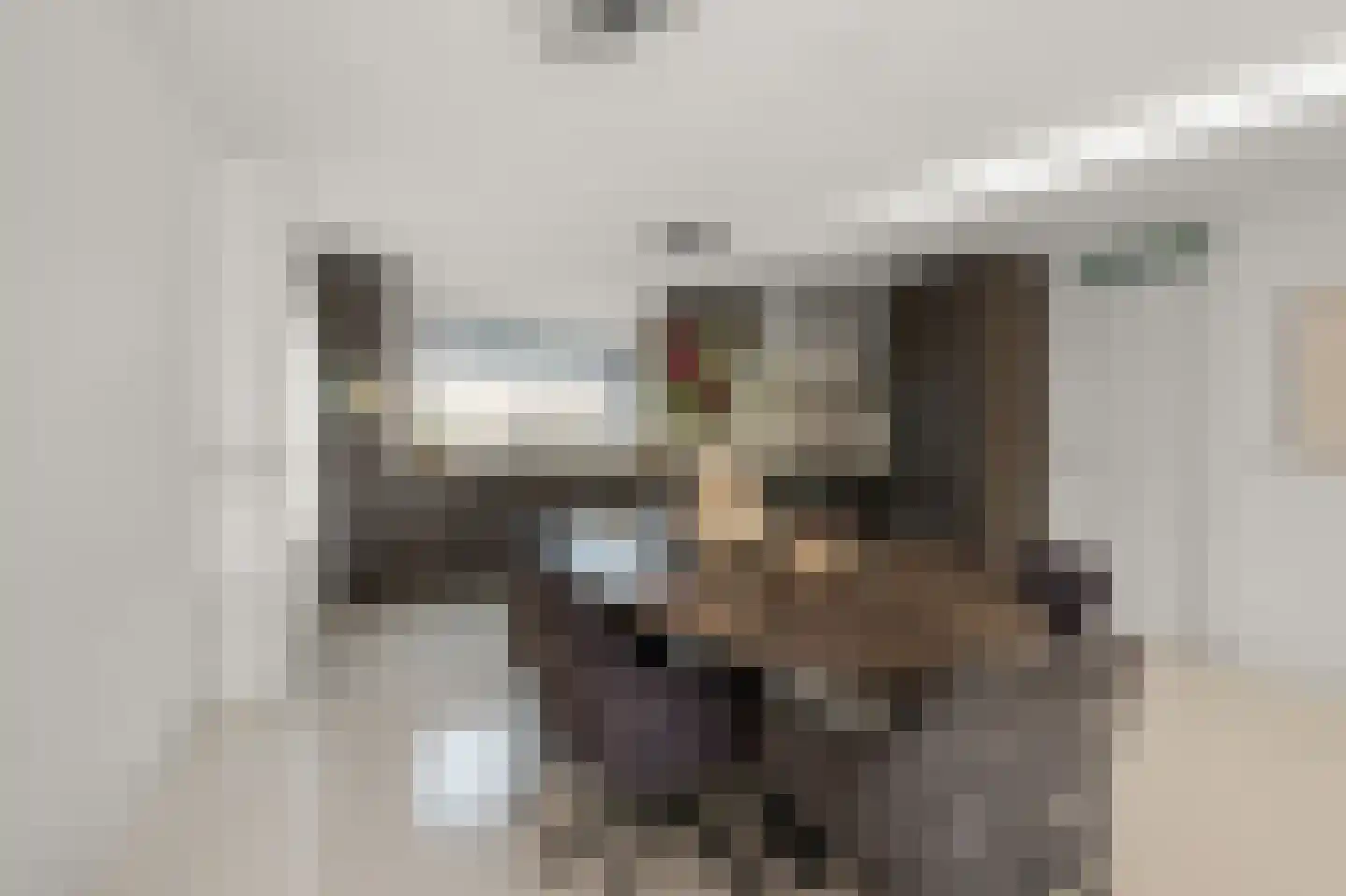 Lotte Beesedijk 21 Heerhugowaard thumbnail 9