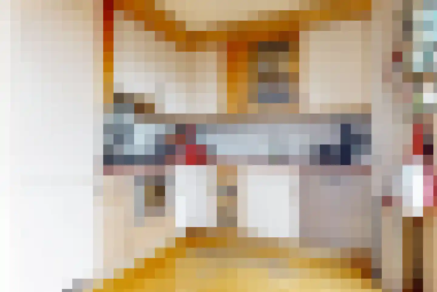 Lotte Beesestraat 18 Leiden thumbnail 23