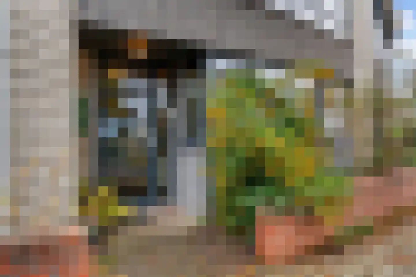 Lotte Beesestraat 18 Leiden thumbnail 4
