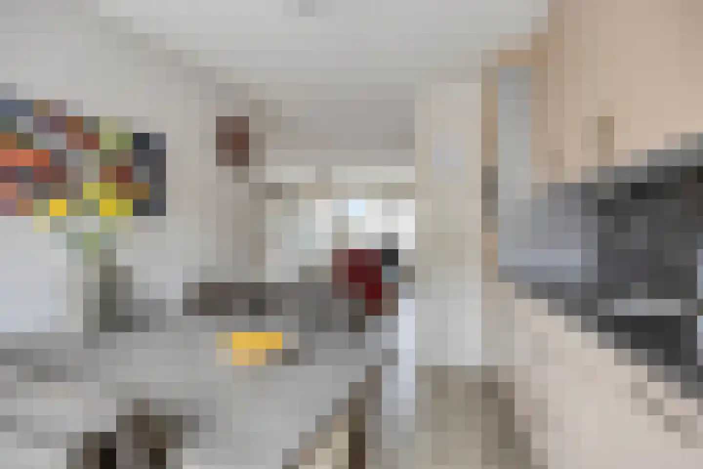 Lotte Beesestraat 3 Spijkenisse thumbnail 16