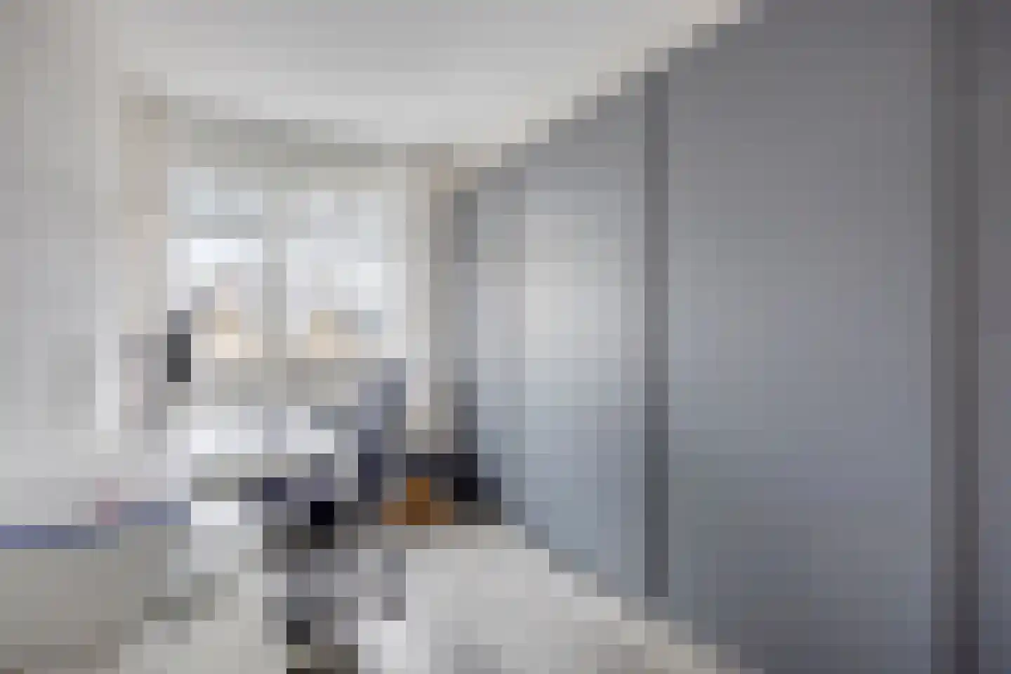 Lotte Beesestraat 3 Spijkenisse thumbnail 22