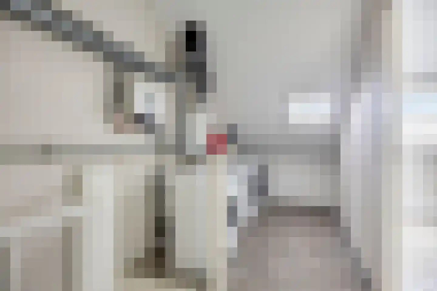 Lotte Beesestraat 3 Spijkenisse thumbnail 25