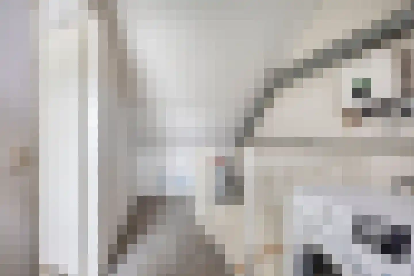Lotte Beesestraat 3 Spijkenisse thumbnail 26