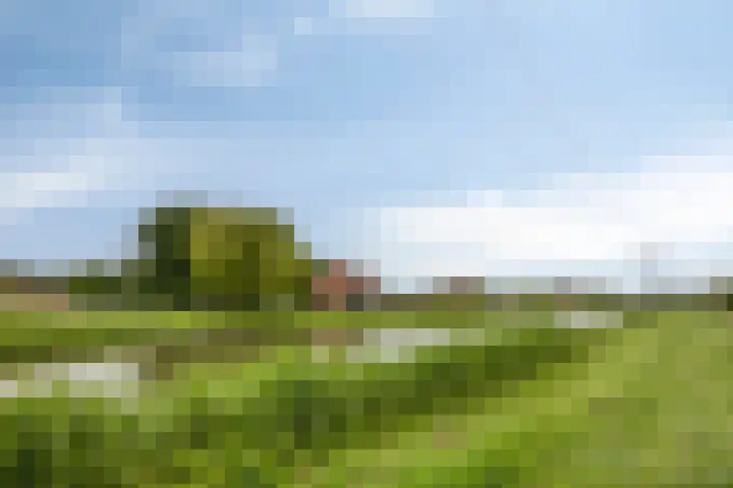 Lotte Beesestraat 3 Spijkenisse thumbnail 29