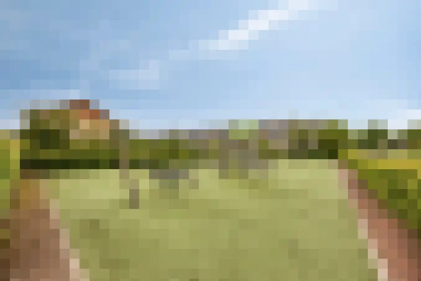 Lotte Beesestraat 3 Spijkenisse thumbnail 30