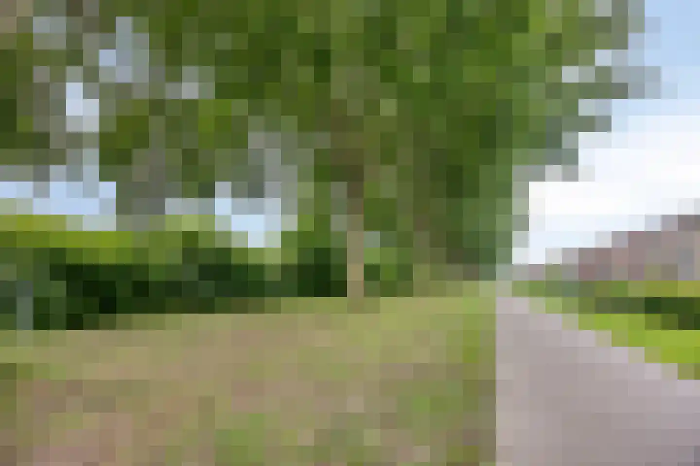 Lotte Beesestraat 3 Spijkenisse thumbnail 31