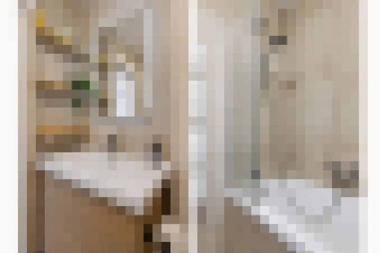 Lotterstraat 19 Haarlem thumbnail 26