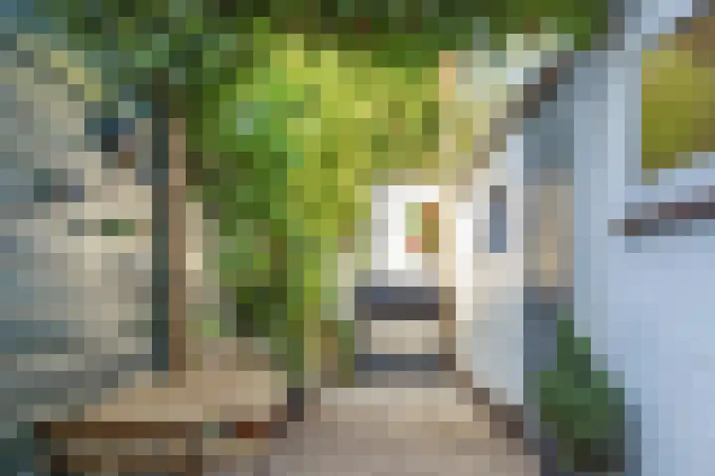 Lotterstraat 19 Haarlem thumbnail 9