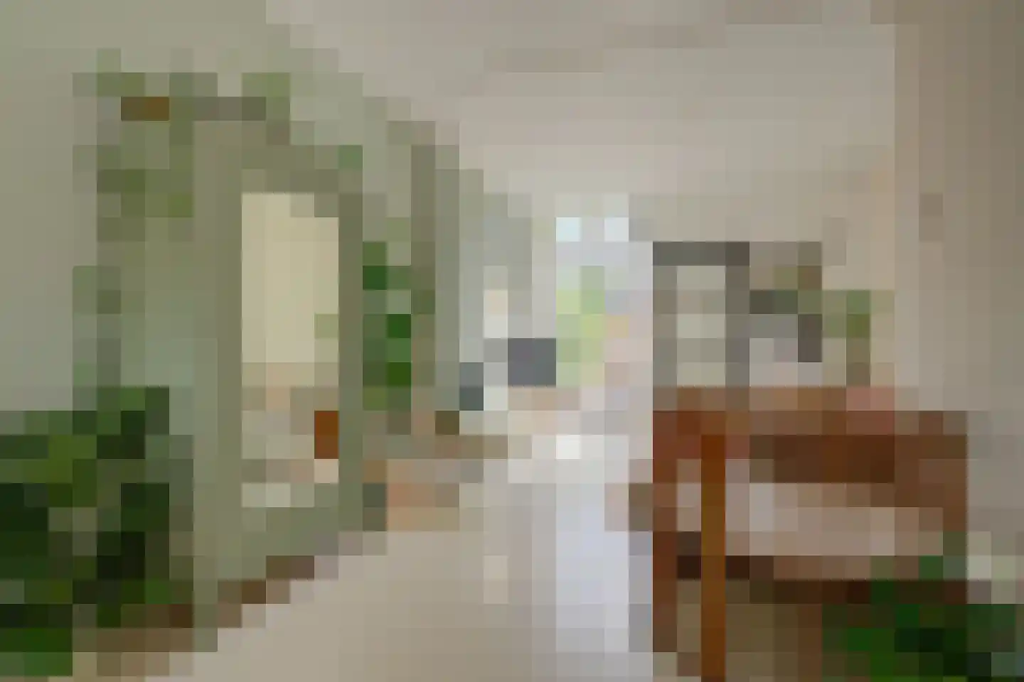Lotterstraat 32 Haarlem thumbnail 18