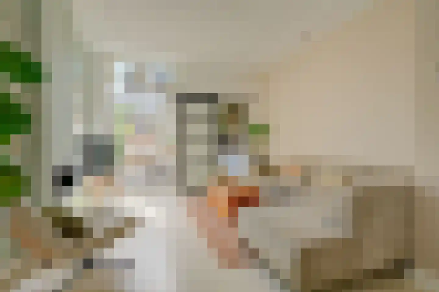 Lotterstraat 32 Haarlem thumbnail 20