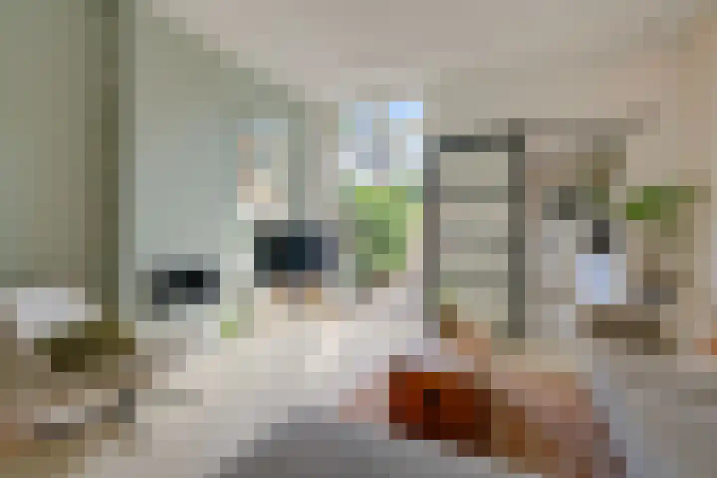 Lotterstraat 32 Haarlem thumbnail 21