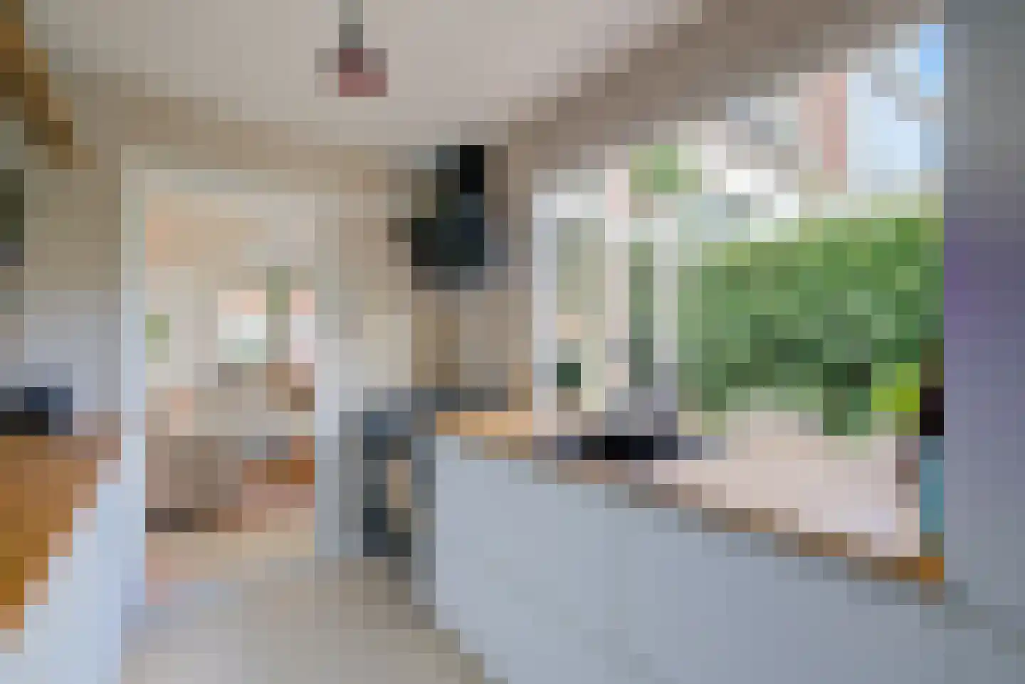 Lotterstraat 32 Haarlem thumbnail 29