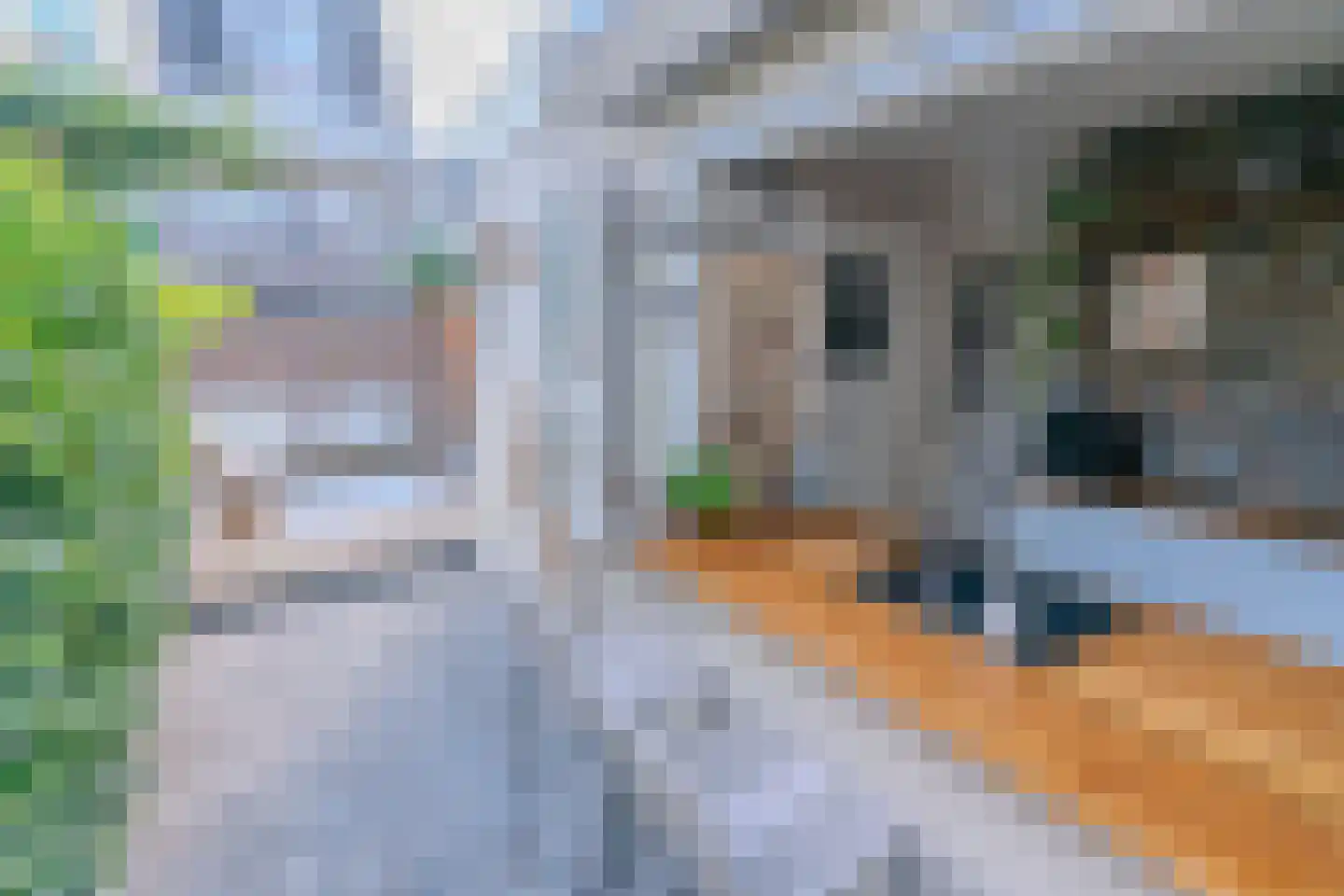 Lotterstraat 32 Haarlem thumbnail 31
