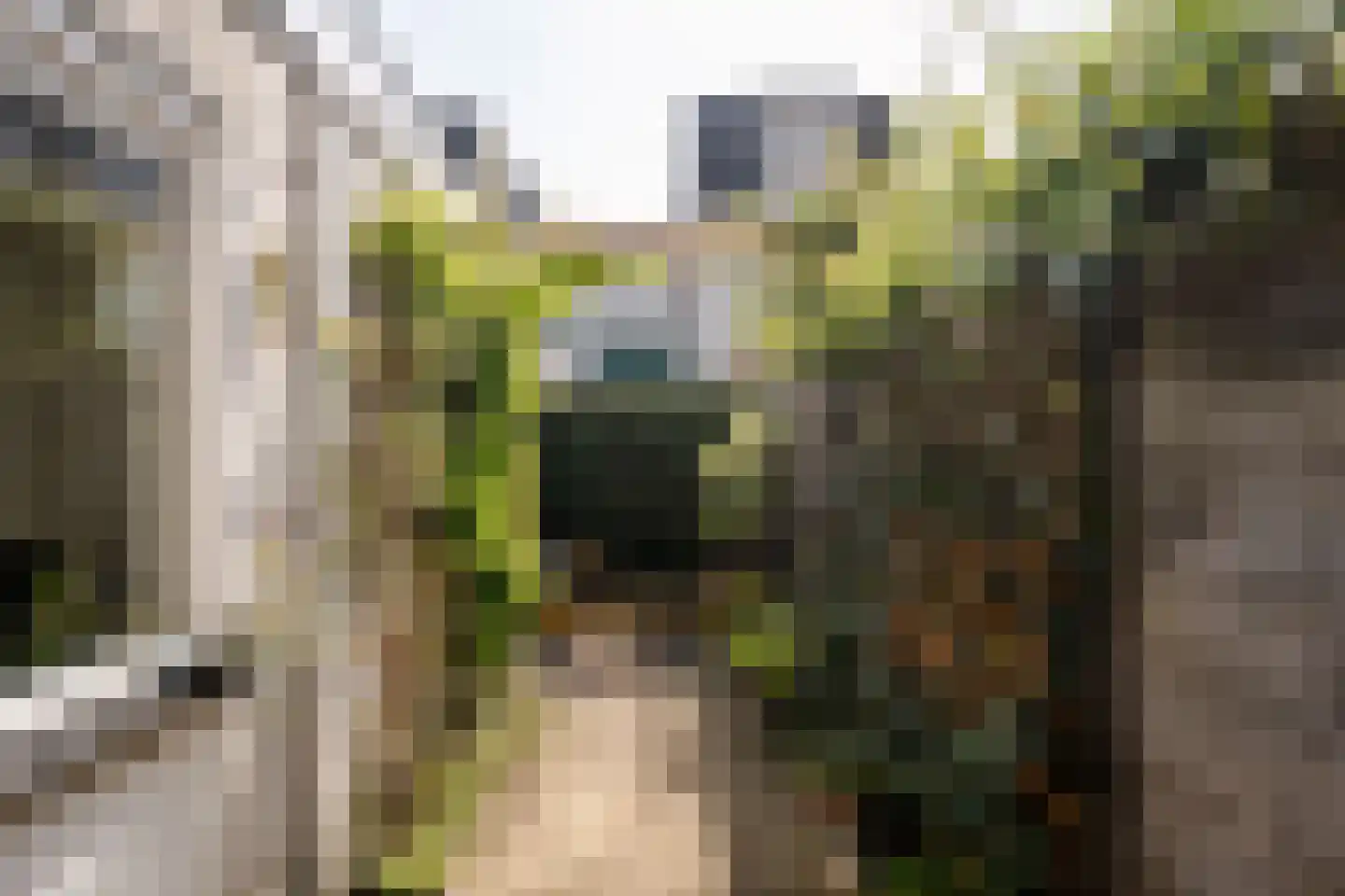 Lotterstraat 34 Haarlem thumbnail 22