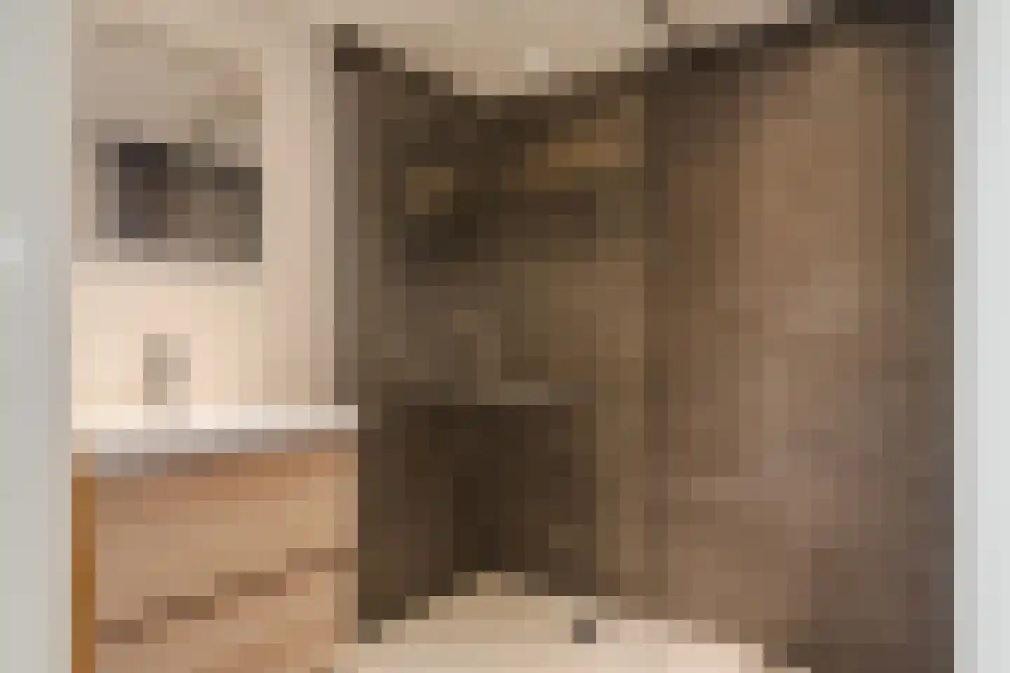 Lotterstraat 34 Haarlem thumbnail 33