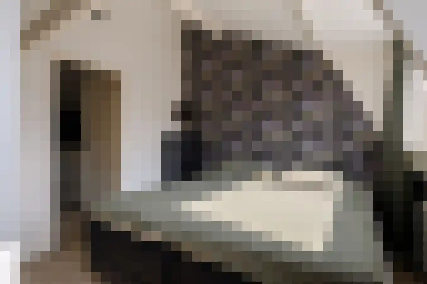 Lotterstraat 34 Haarlem thumbnail 37