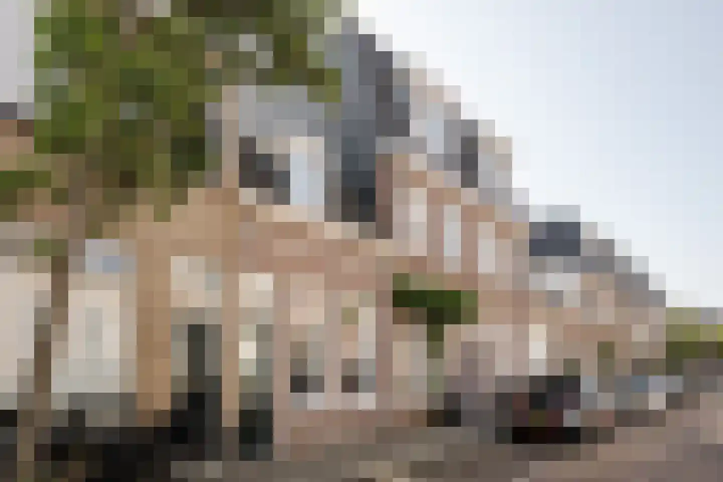 Lotterstraat 34 Haarlem thumbnail 6