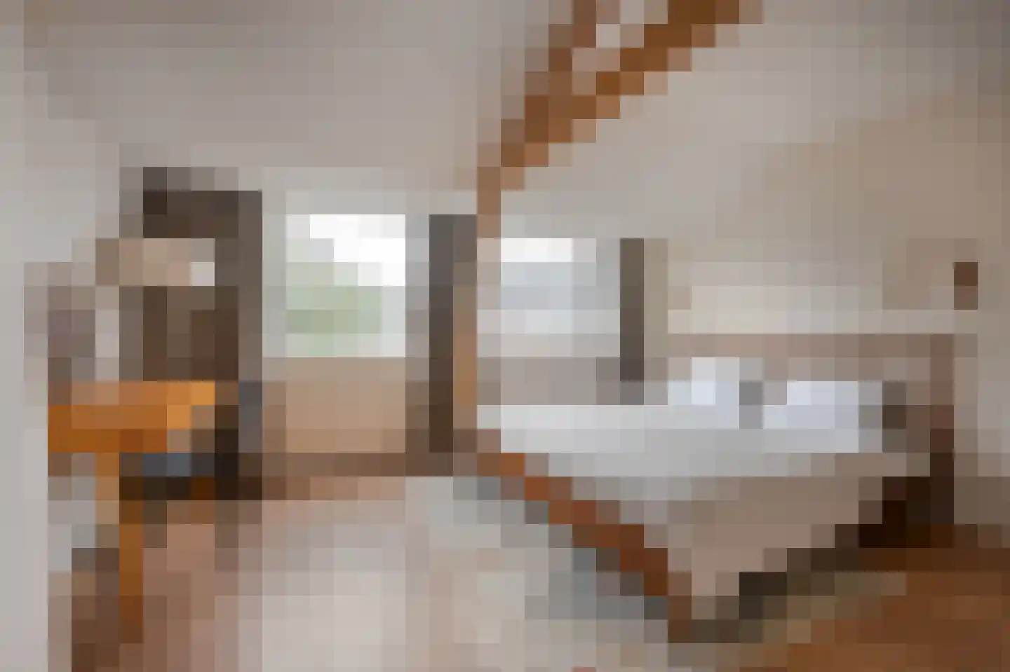 Lotterstraat 35 Haarlem thumbnail 17