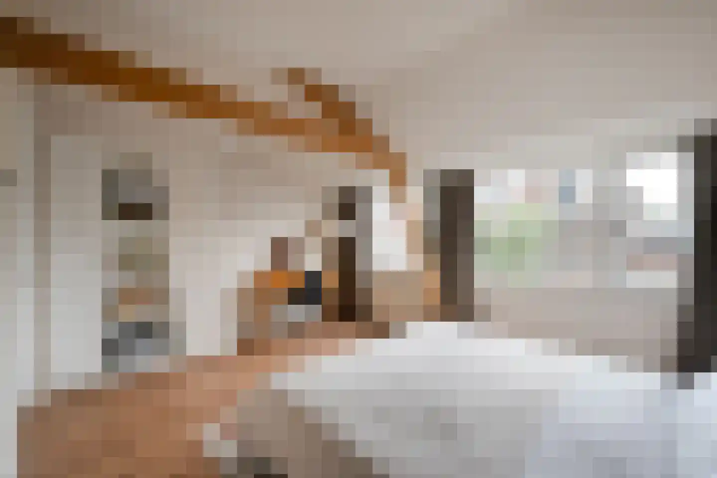 Lotterstraat 35 Haarlem thumbnail 18