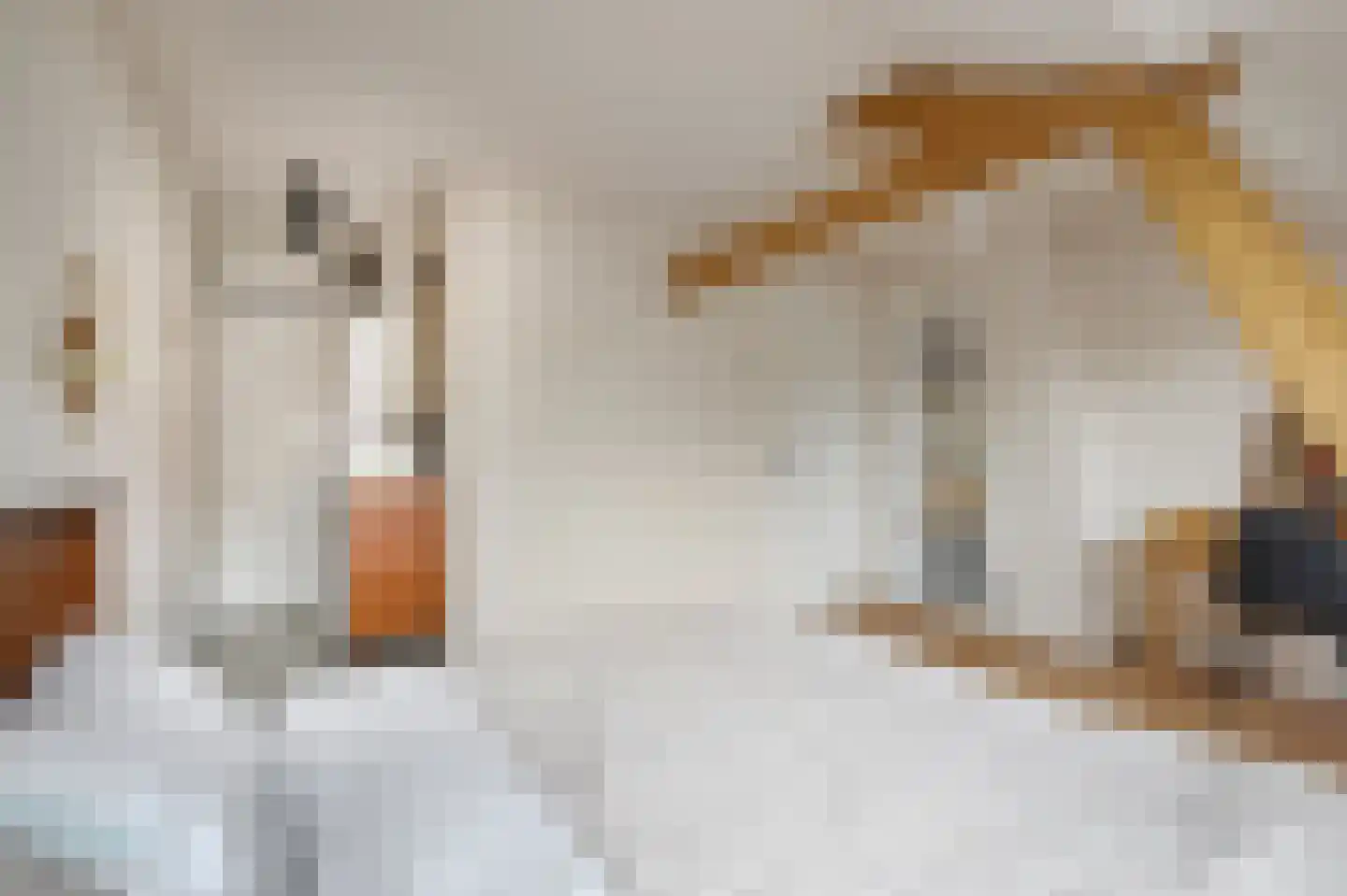 Lotterstraat 35 Haarlem thumbnail 20