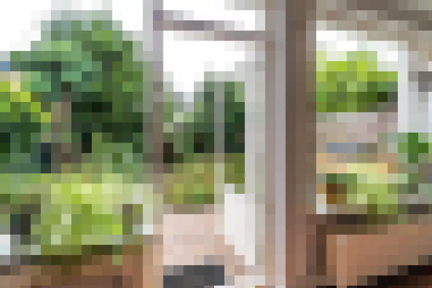 Lottinge 25 Vries thumbnail 20
