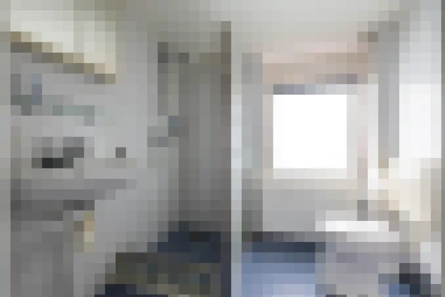 Lottinge 25 Vries thumbnail 33