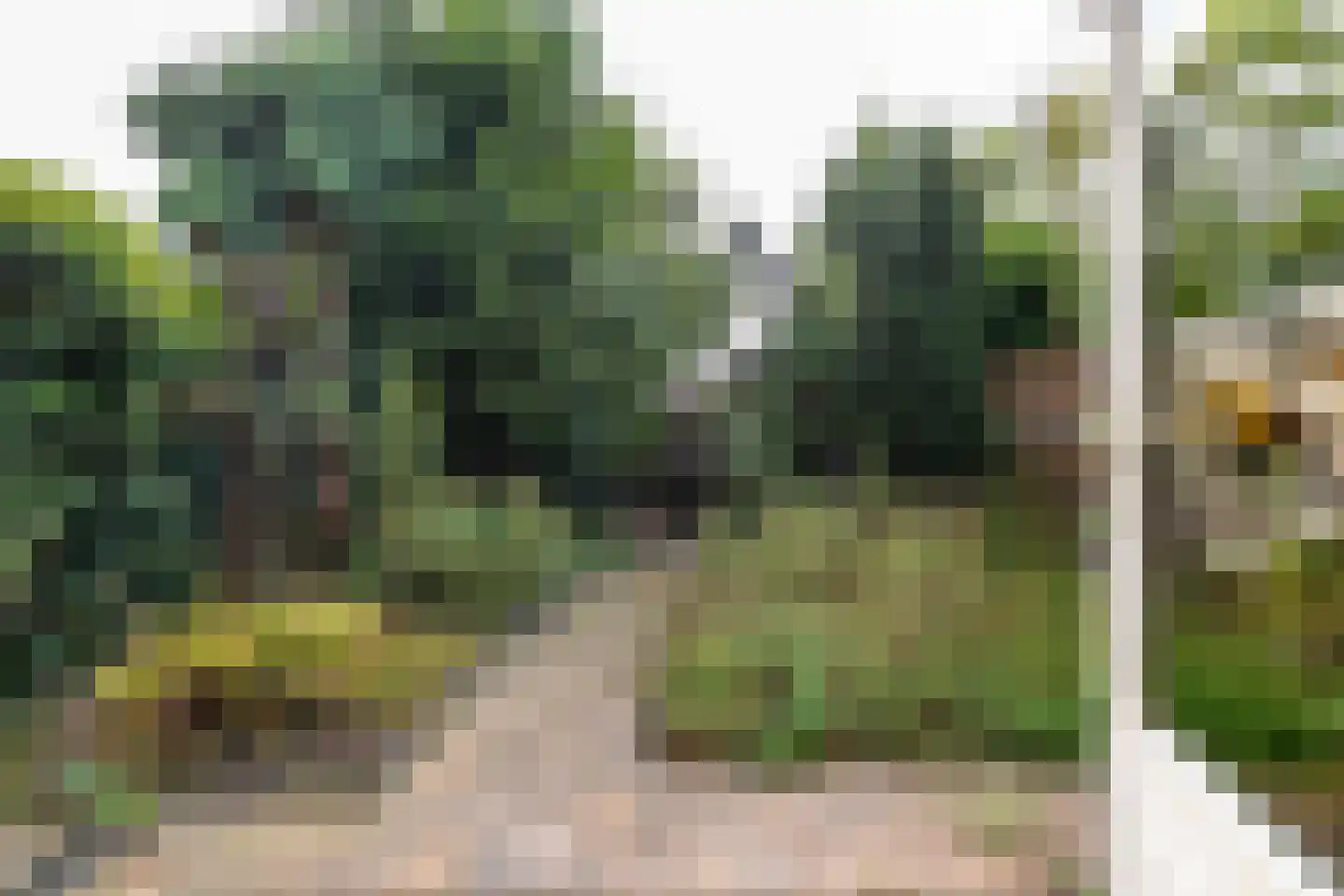 Lottinge 25 Vries thumbnail 4