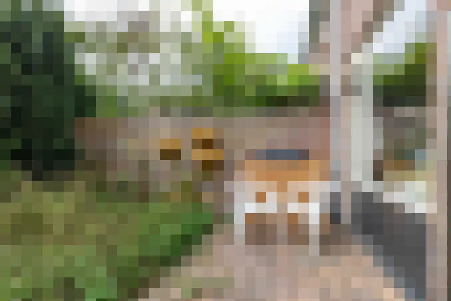 Lottinge 25 Vries thumbnail 48