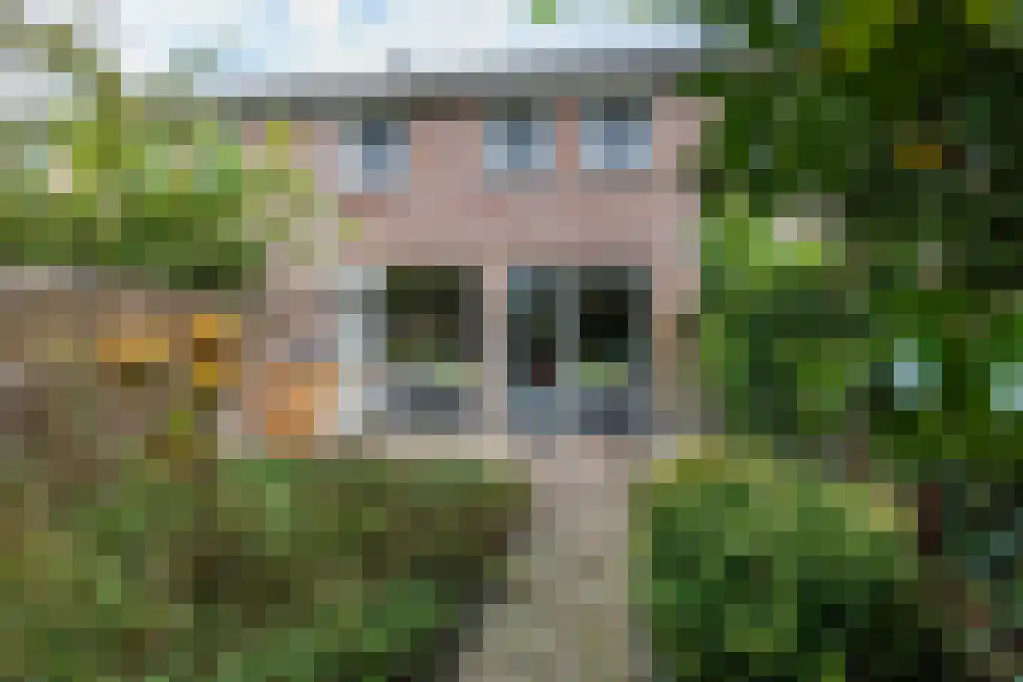Lottinge 25 Vries thumbnail 49