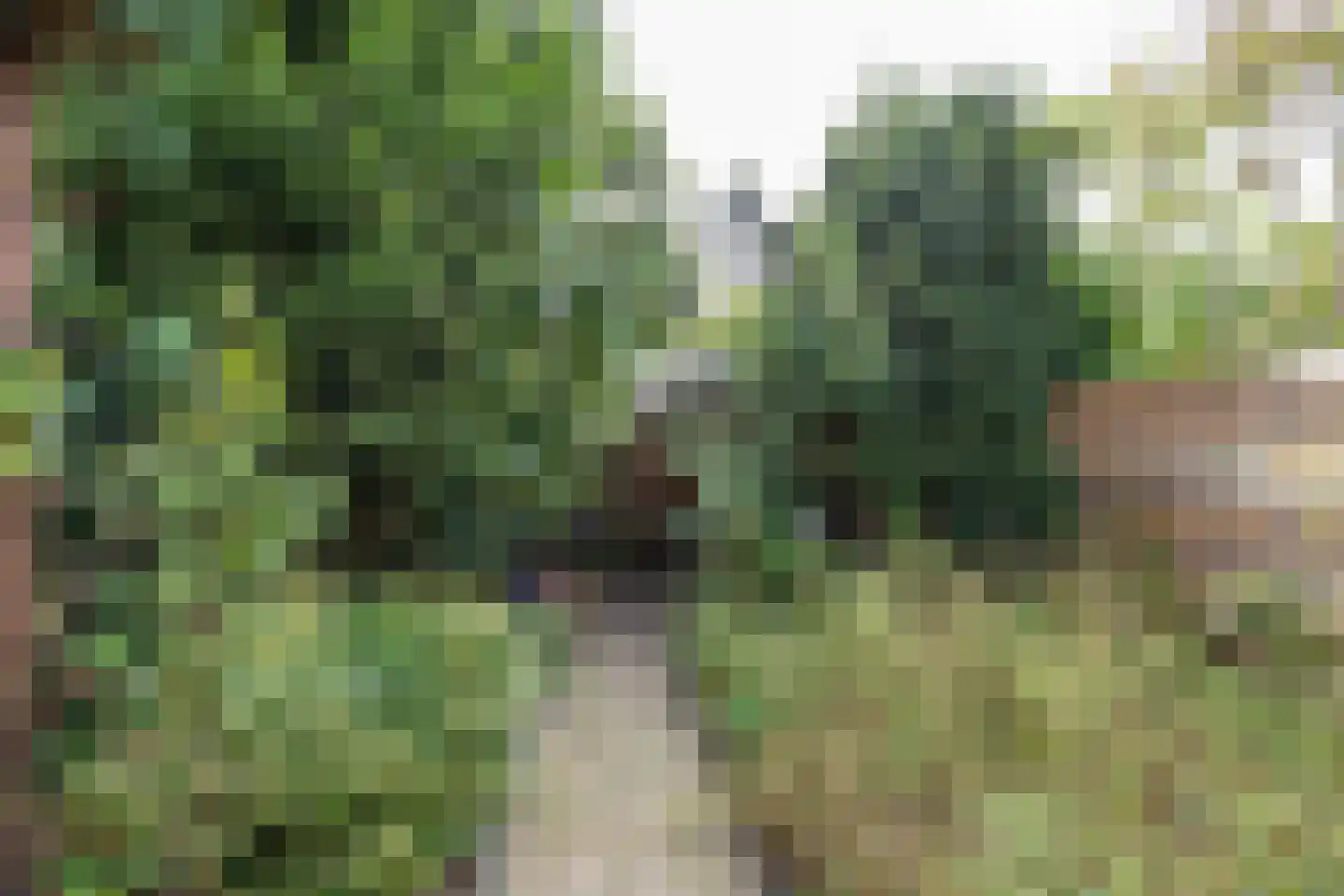 Lottinge 25 Vries thumbnail 50