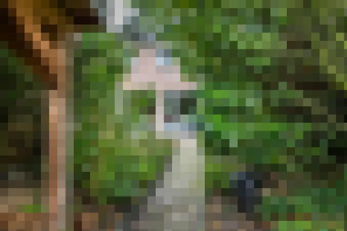 Lottinge 25 Vries thumbnail 51